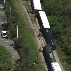 Train derails in Manatee County - FOX 13 Tampa